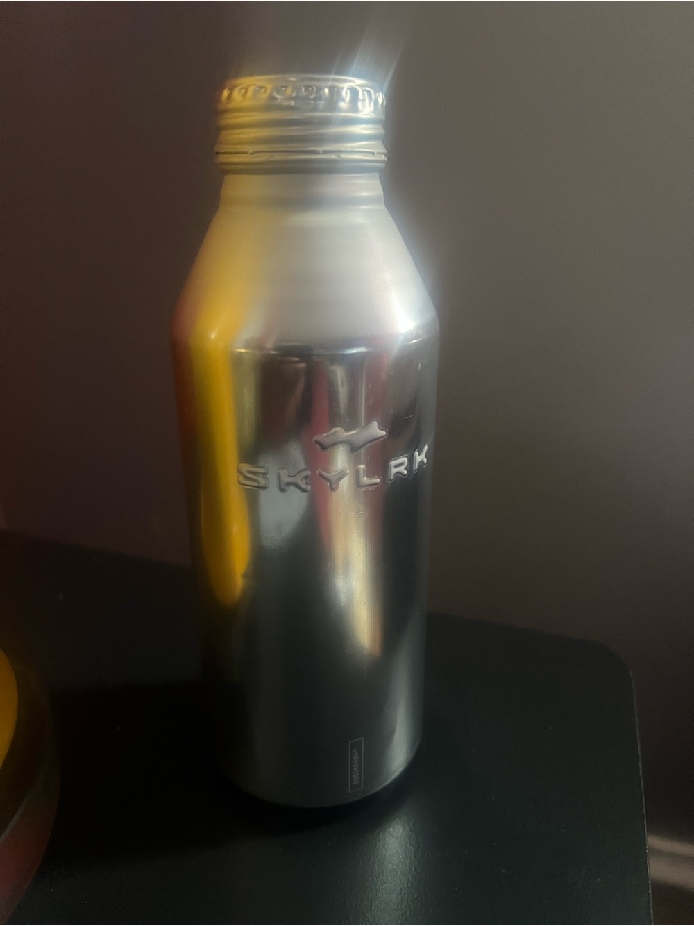 Skylark Silver Insulated Bottle